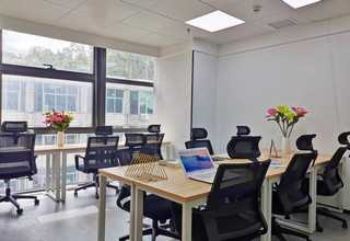 湖北围棋培训包括什么